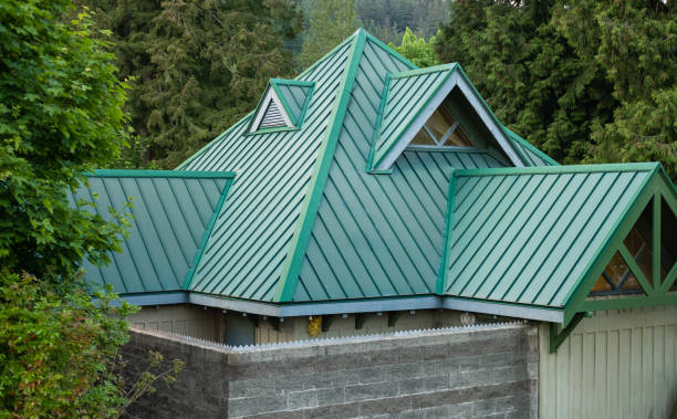 Best Asphalt Shingle Roofing  in Pine Ridge, SC
