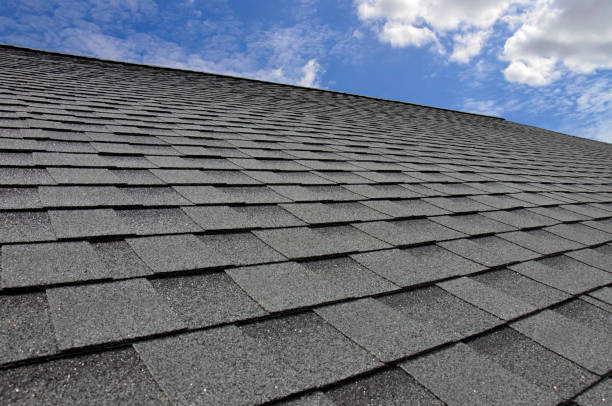 Best Gutter Installation and Repair  in Pine Ridge, SC
