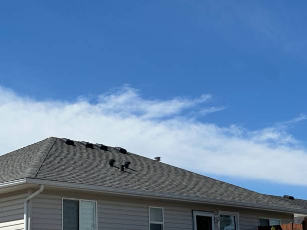 Pine Ridge, SC Roofing Company